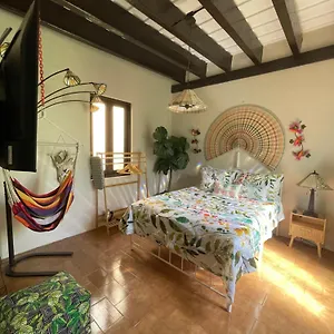 https://cozy-garden-apt-at-casa-of-essence-located-in-of-old-san-juan.comcaribbean.com